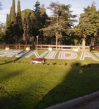 Agencia Flores