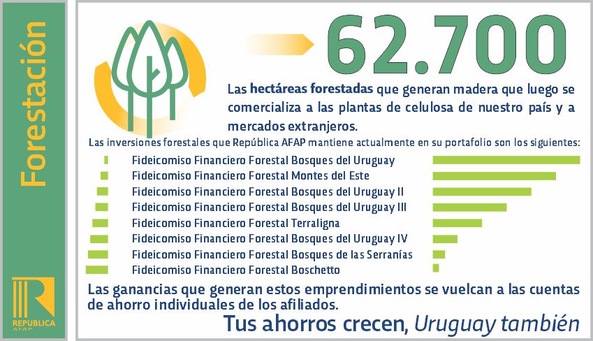 inversiones en forestación
